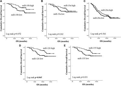 MicroRNAs Regulating Tumor Immune Response in the Prediction of the Outcome in Patients With Breast Cancer